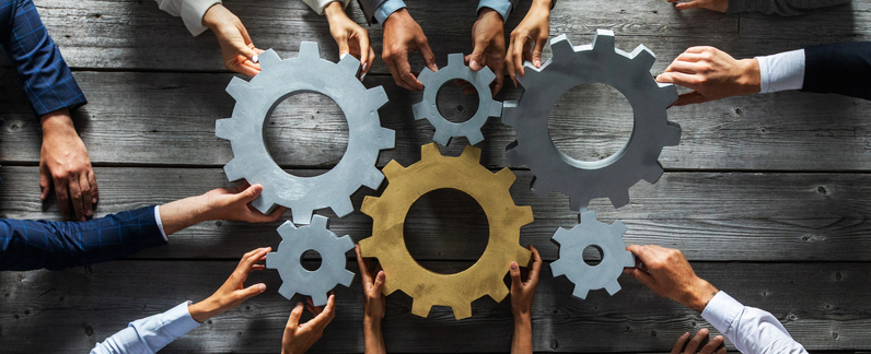 Team Collaboration